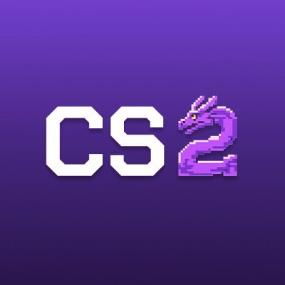 CS2Skin